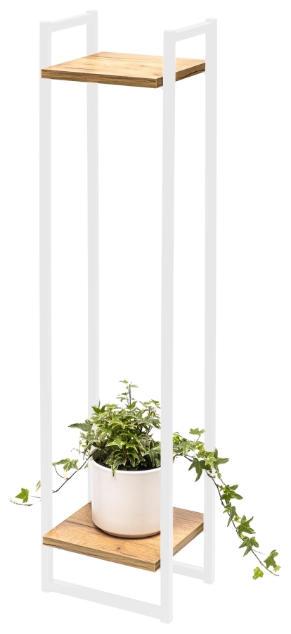 Cage Legna 100