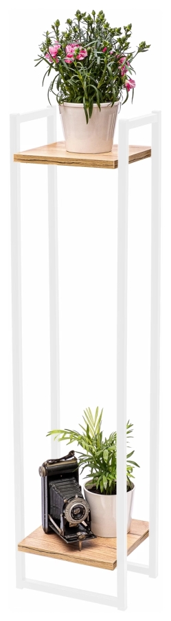 Cage Legna 100