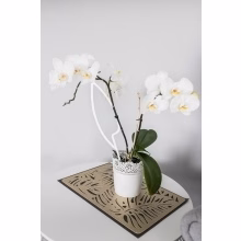 Metal support for Model:553