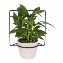 Metal wall flower Model:564