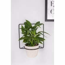 Metal wall flower Model:564