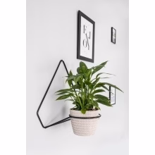 Metal wall flower Model:558