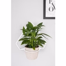 Metal wall flower Model:558