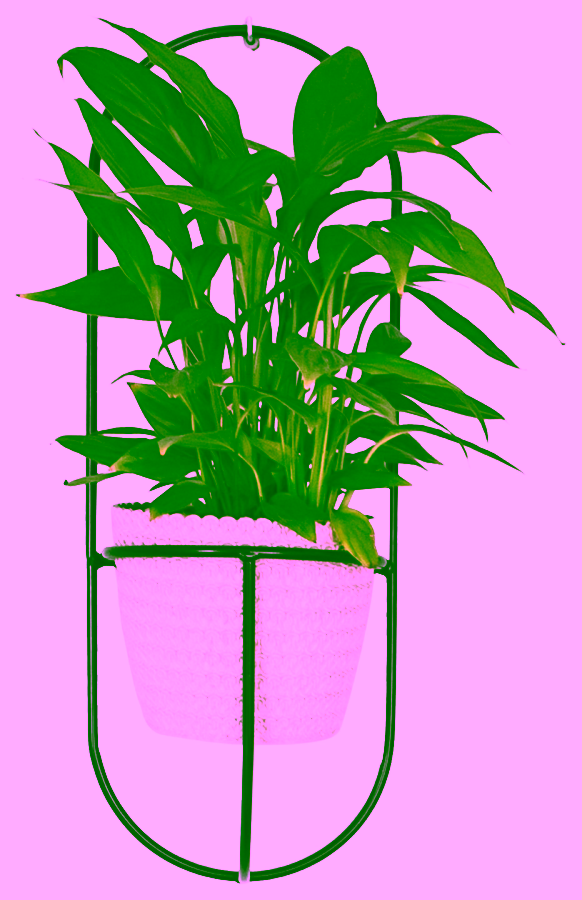 Metal wall flower holder - ELIPSA