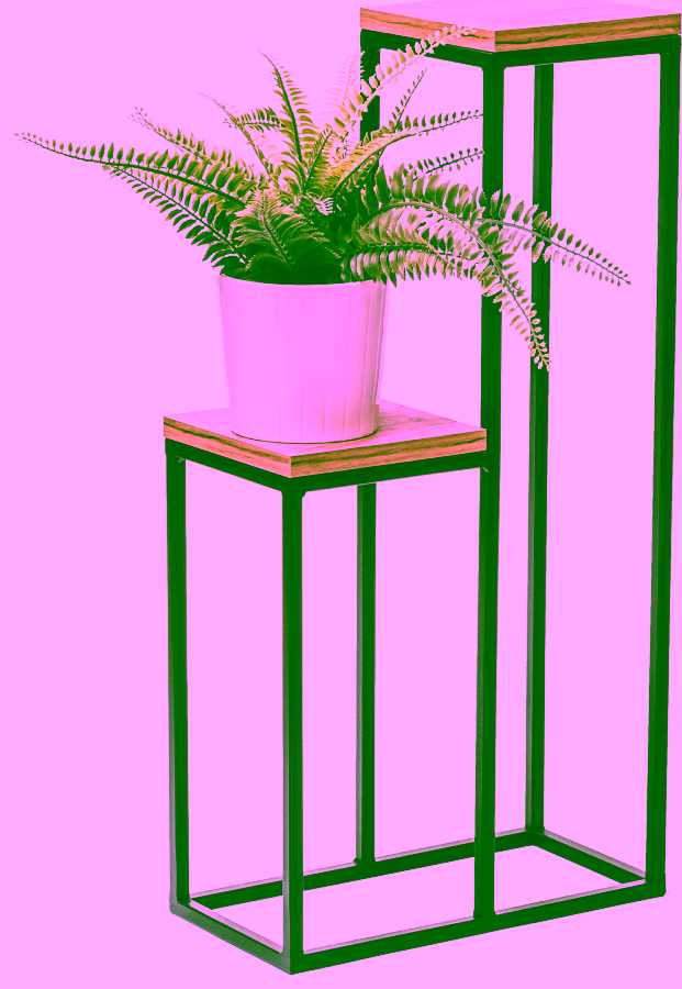 Metal Minimalist Standing Plant Stand with Two Shelves – Modern Design for Plants