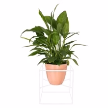 Multipurpose flowerbed - Model:565