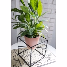 Multipurpose flowerbed - Model:565