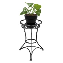 Ornamental single large Model:214