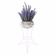 Ornamental single large Model:214