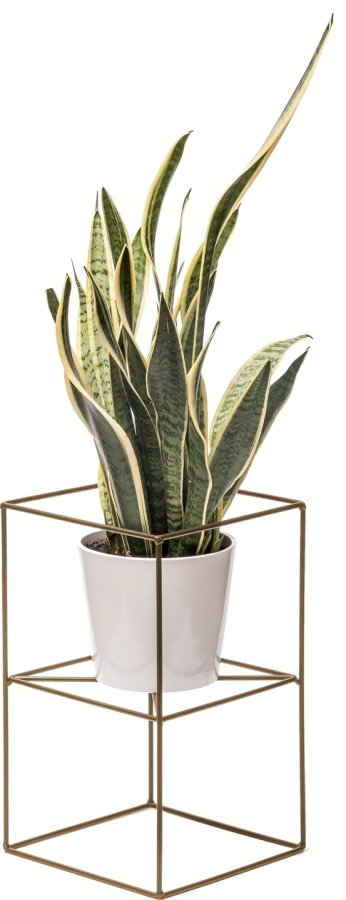 Wire stand single 40