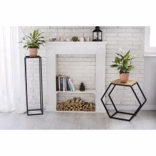Podium, plant and Model:486