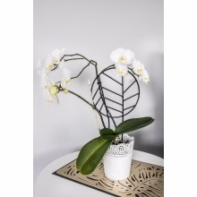 Potted plant support Model:552