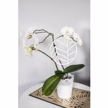 Potted plant support Model:552