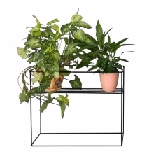 Rectangular wire flowerbed Model:569