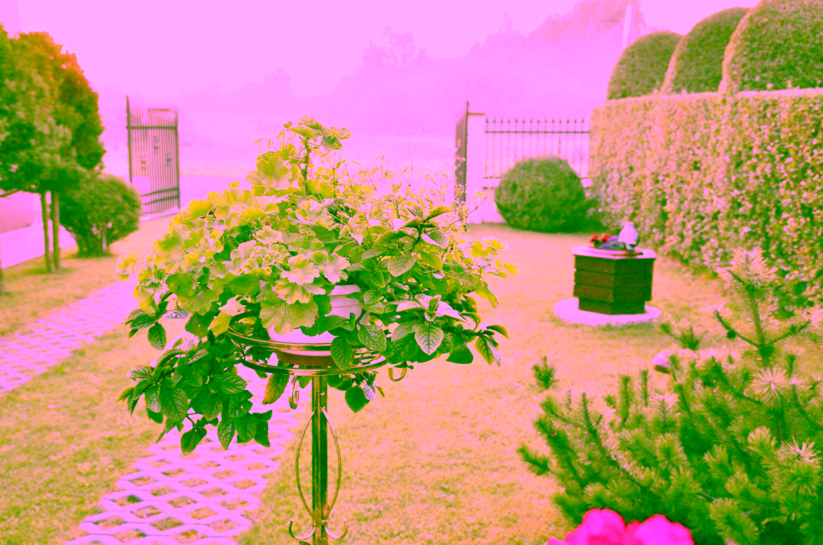 Single flowerbed. Metal Model:201