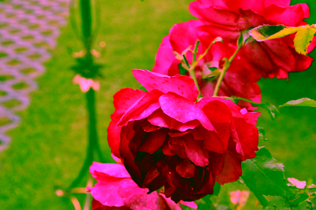 Single flowerbed. Metal Model:201