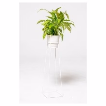 Single plant stand. Model:561