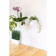 Single plant stand. Model:561