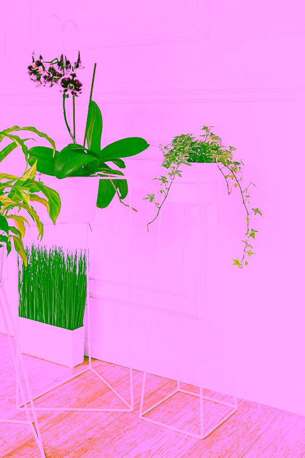 Single plant stand. Model:561-ba252