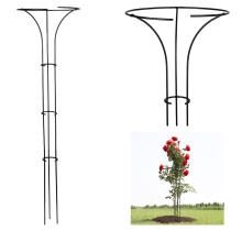 Stemmed plant support Model:572