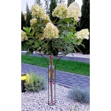 Stemmed plant support Model:572