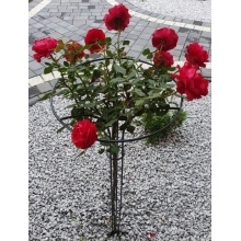 Stemmed plant support Model:572