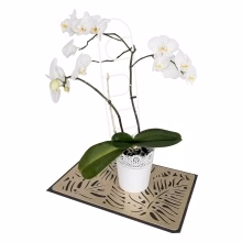 Support for plants Model:555