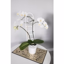 Support for plants Model:555