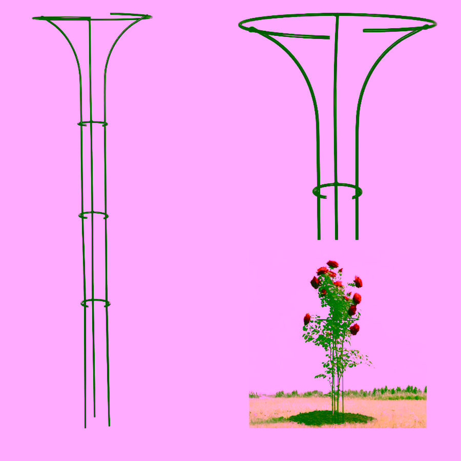 Stemmed plant support