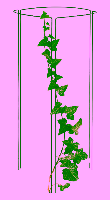 Support for shrubs, Model:323