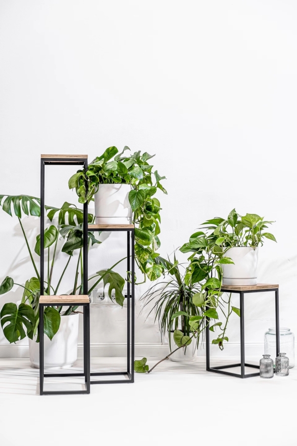 Elle Legna plant stand