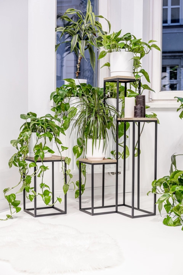 Elle Legna plant stand - interior arrangement