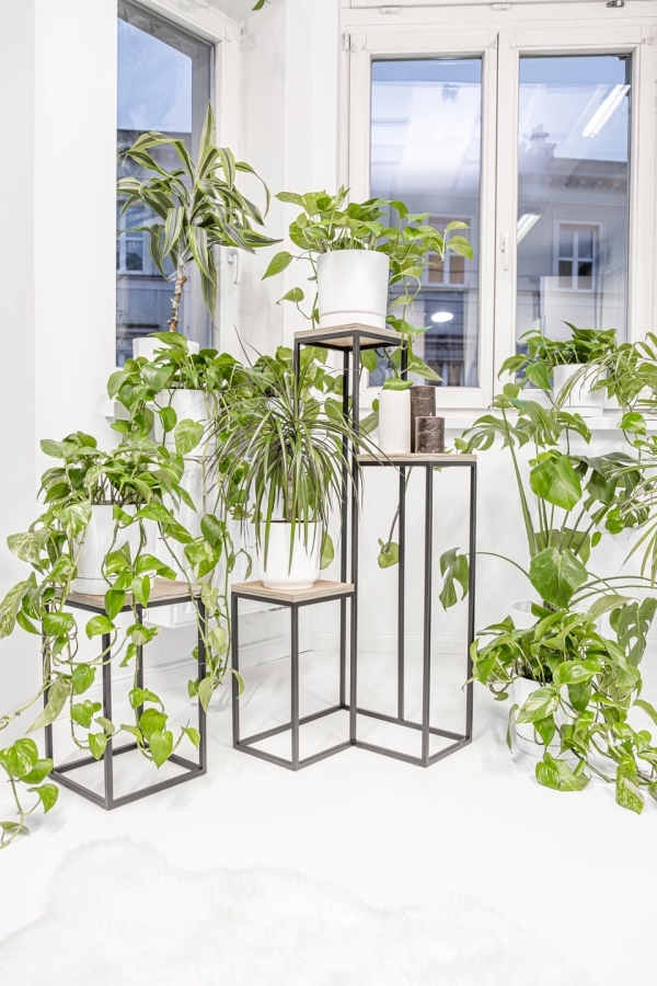 Elle Legna plant stand - interior arrangement