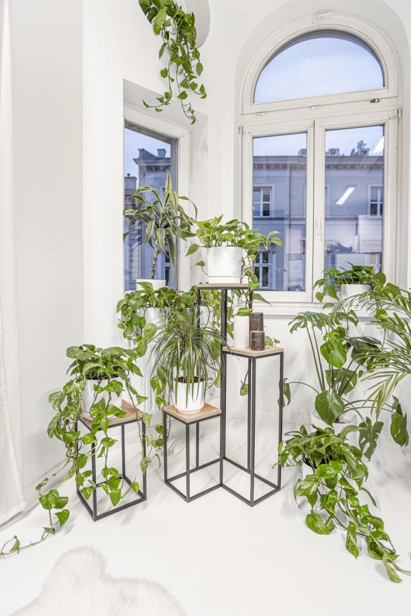 Elle Legna plant stand - interior arrangement
