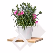 Universal hanging shelf. Model:575