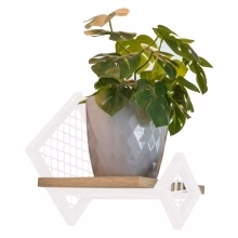Wall florist, shelf Model:574