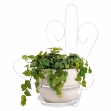 Wall florist with Model:13