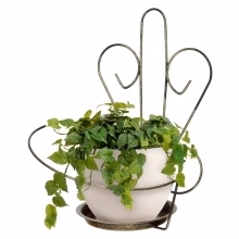 Wall florist with Model:13