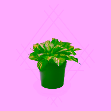 Wall flower box Model:82