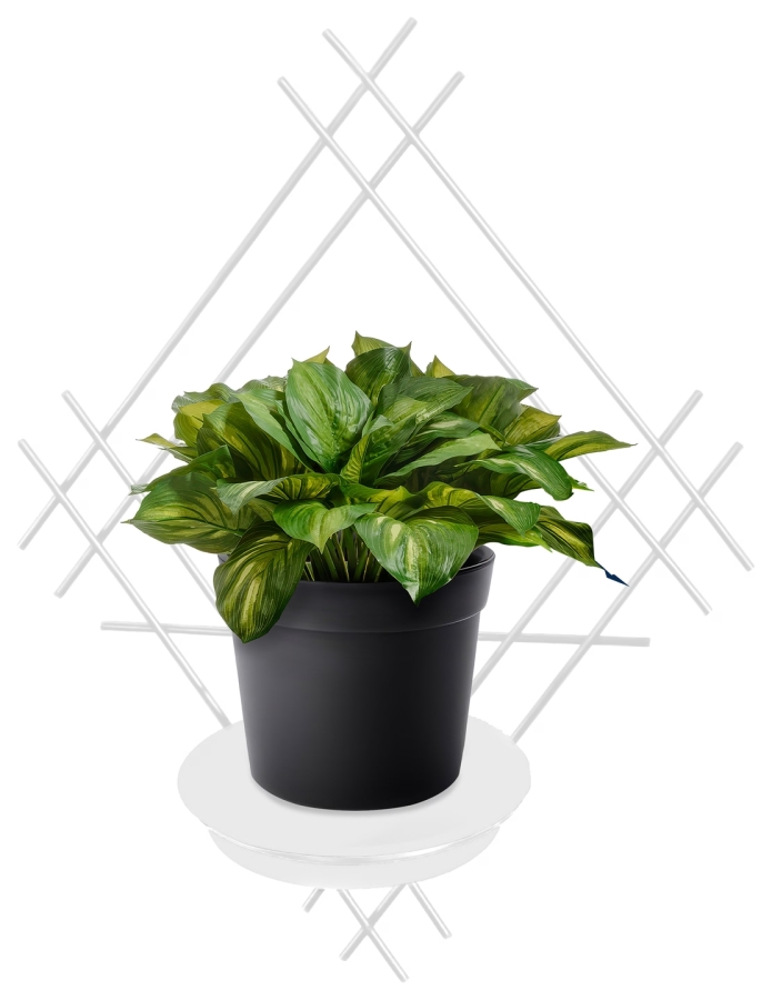 Wall flower box Model:82