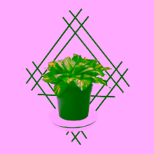 Wall flower box Model:82