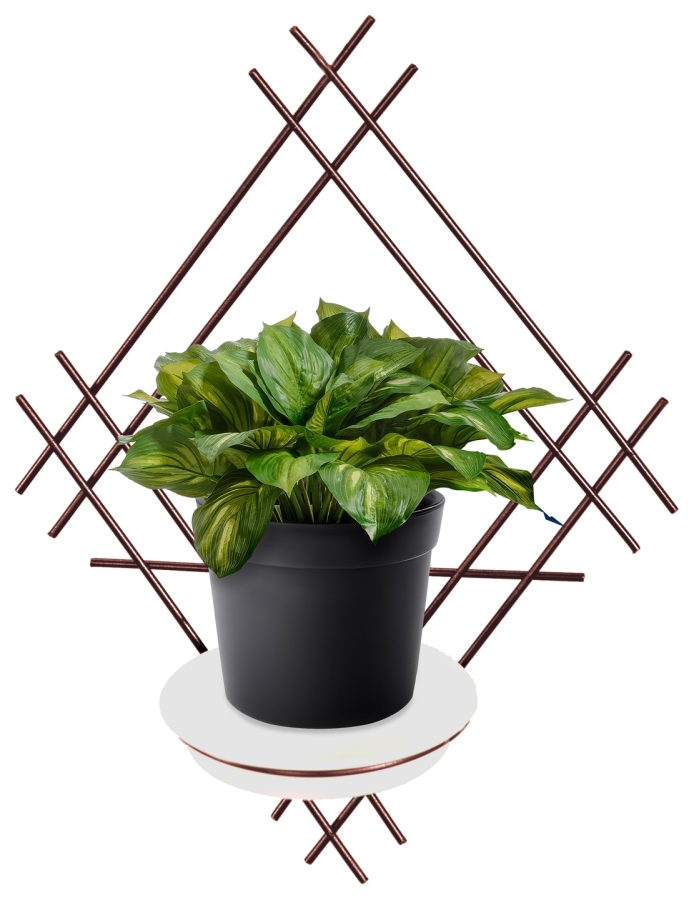 Wall flower box Model:82