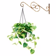 Wall mount for Model:197