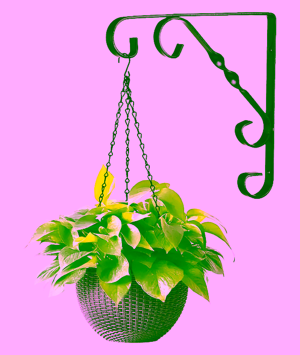 Hanging pot holder